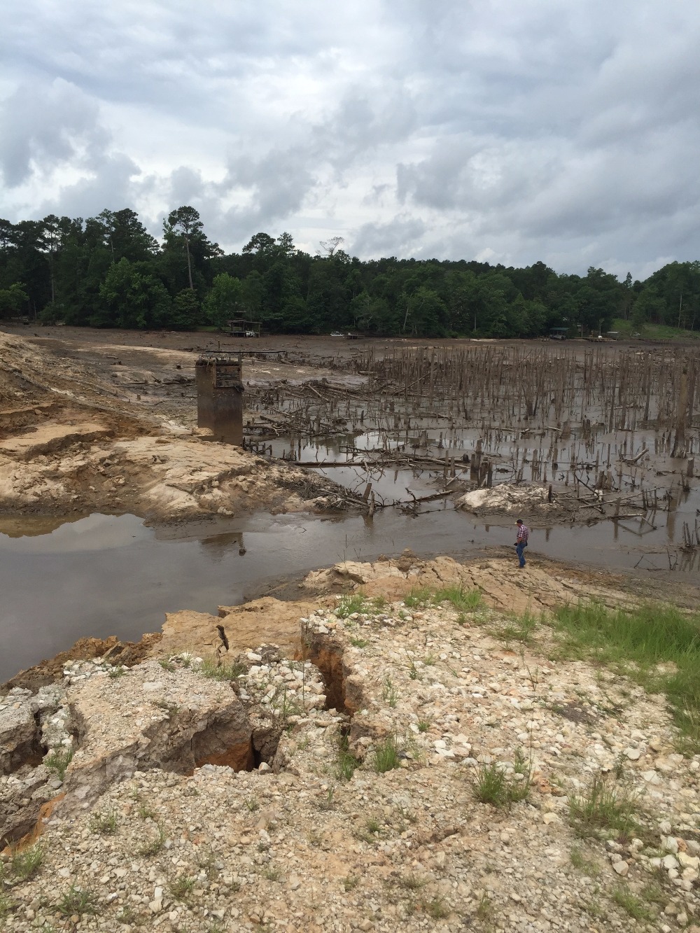 S.E. TX HELP LAKE AMANDA WILDLIFE! by Linda Barras Whiteley GoFundMe