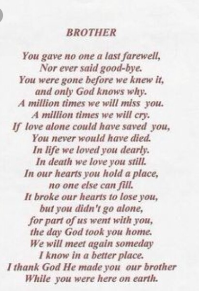 Mother to son poem questions picture