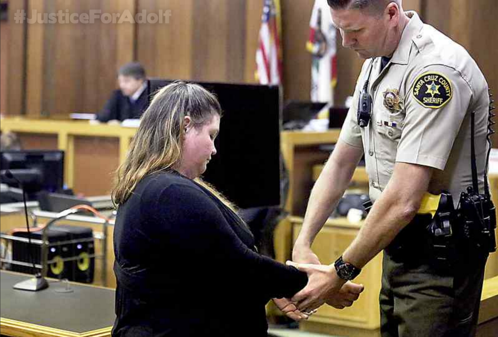 Fundraiser by Laura Fox Greenland Justice for Adolf!