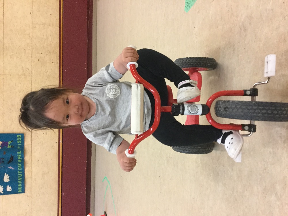 Fundraiser by Alison Harper The Polar Bike Project