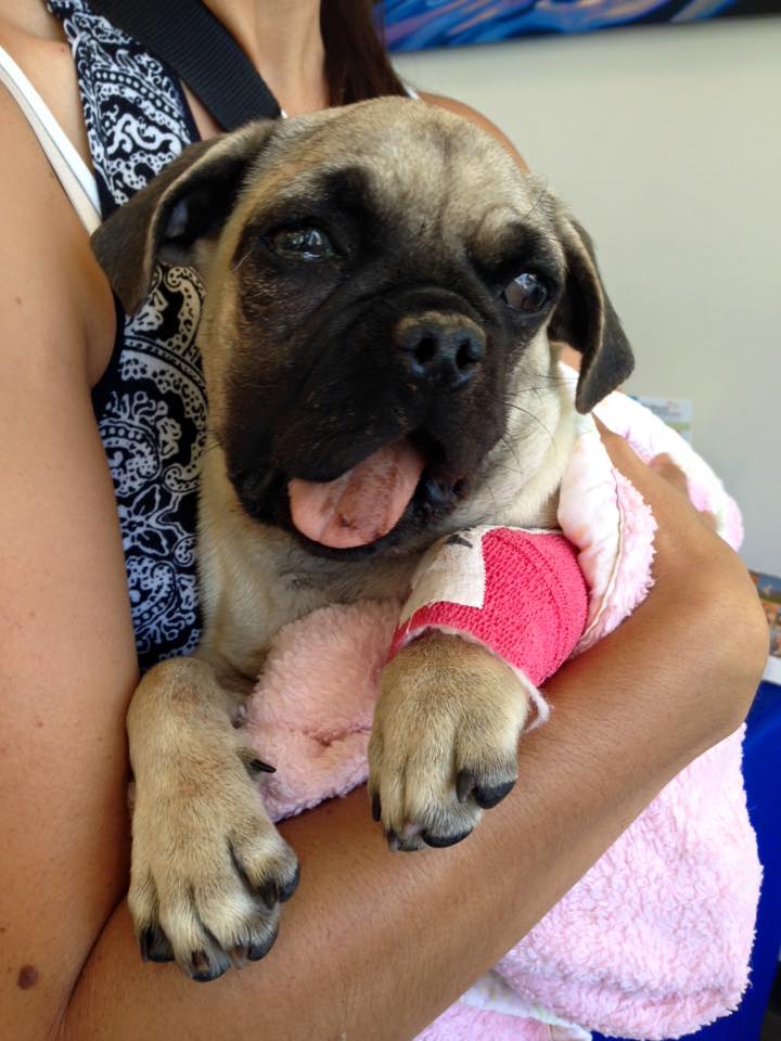 Kendrick's Broken Jaw Surgery by Nathan Berkeley GoFundMe