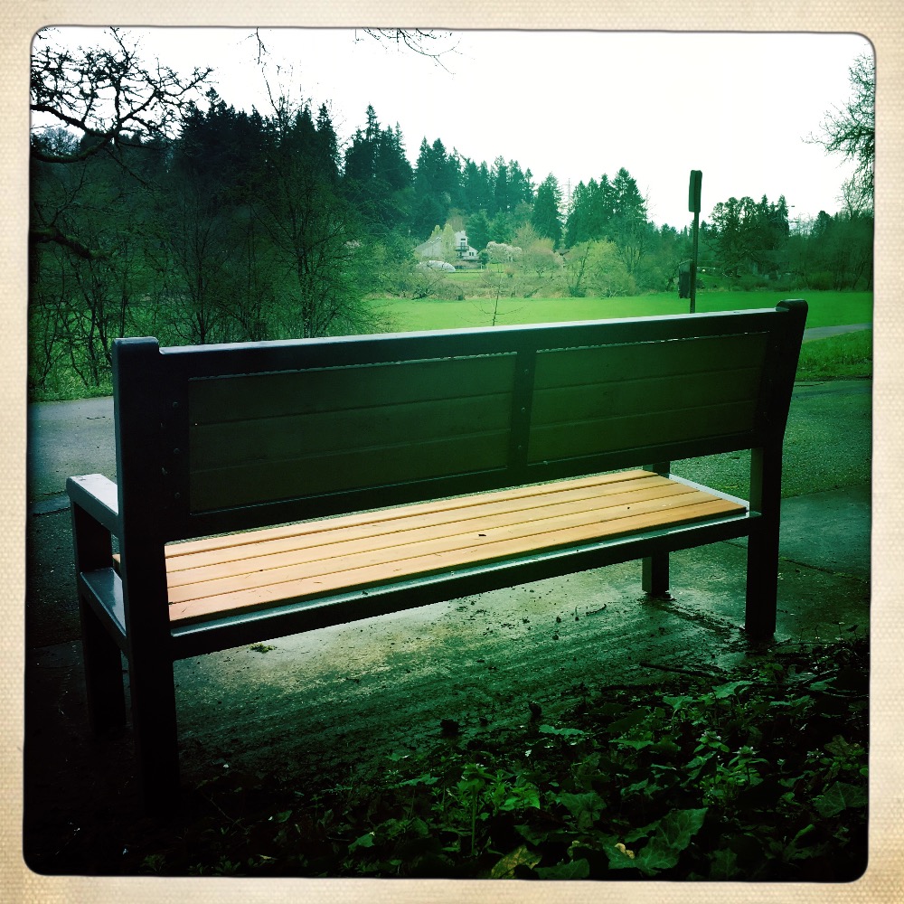 Fundraiser by Kevin Nettleingham : Memorial Park Bench for Michelle