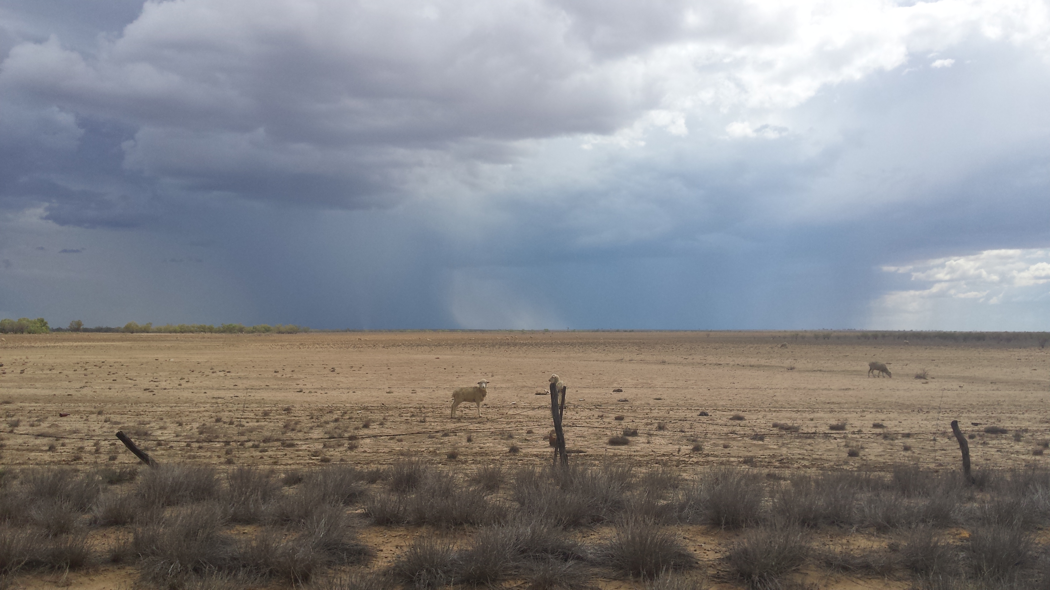 Fundraiser by Nicki Stansbie : Drought Angels Fundraiser by Nicki Stansbie : Drought Angels