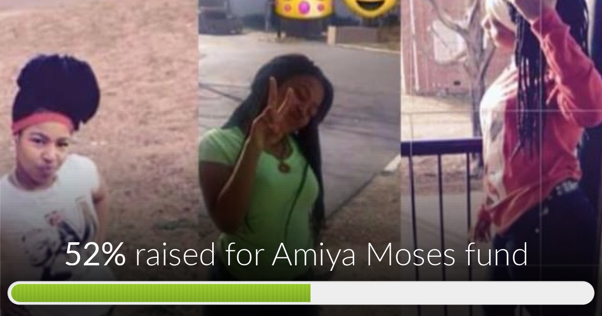 Fundraiser for Ashley Monroe by Alisha Moore : Amiya Moses fund